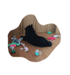 kaiken kuro（個別スタンプ：3）