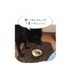 kaiken kuro（個別スタンプ：6）