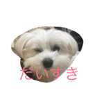 村山さんちのもかちゃん2（個別スタンプ：1）
