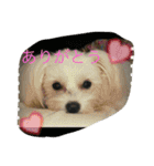 村山さんちのもかちゃん2（個別スタンプ：4）