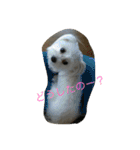 村山さんちのもかちゃん2（個別スタンプ：13）