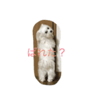 村山さんちのもかちゃん2（個別スタンプ：15）