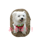 村山さんちのもかちゃん2（個別スタンプ：16）