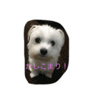 村山さんちのもかちゃん2（個別スタンプ：22）