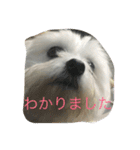 村山さんちのもかちゃん2（個別スタンプ：23）