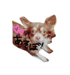ジュエラちゃんの日常♡（個別スタンプ：2）