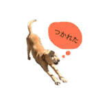 みんな大好きなアンディくん（個別スタンプ：4）