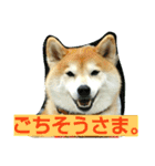 柴顔判子2（個別スタンプ：5）