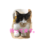奈奈と瑠莉と風（個別スタンプ：8）
