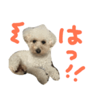 もか＆らて（個別スタンプ：11）