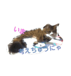 もふもふ姉妹の言い分（個別スタンプ：8）