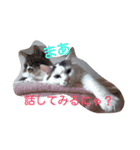 もふもふ姉妹の言い分（個別スタンプ：12）