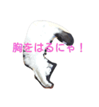もふもふ姉妹の言い分（個別スタンプ：19）