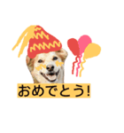 puffy！！（個別スタンプ：1）