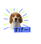 puffy！！（個別スタンプ：2）