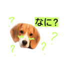 puffy！！（個別スタンプ：3）