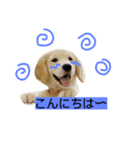 puffy！！（個別スタンプ：4）