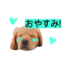 puffy！！（個別スタンプ：5）