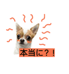 puffy！！（個別スタンプ：8）
