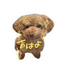 くうちゃん1の4（個別スタンプ：2）