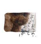 くうちゃん1の4（個別スタンプ：7）