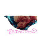 くうちゃん1の4（個別スタンプ：12）