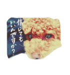 くうちゃん1の4（個別スタンプ：13）