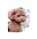 くうちゃん1の4（個別スタンプ：14）