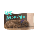 くうちゃん1の4（個別スタンプ：15）