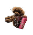 くうちゃん1の4（個別スタンプ：16）
