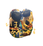 うちの三兄弟ブヒ（個別スタンプ：2）