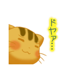 きじとらねこ（個別スタンプ：20）