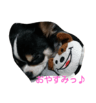 RIKU ＆MIMI（個別スタンプ：5）