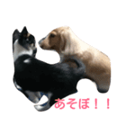 RIKU ＆MIMI（個別スタンプ：8）