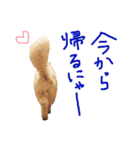 ふわふわネコのシーちゃんとおともだち（個別スタンプ：6）