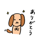 セタの友達わんこ（個別スタンプ：3）