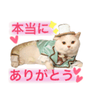 うちのコロンくん2（日常編）（個別スタンプ：2）