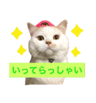 うちのコロンくん2（日常編）（個別スタンプ：6）