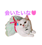 うちのコロンくん2（日常編）（個別スタンプ：15）