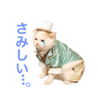 うちのコロンくん2（日常編）（個別スタンプ：16）