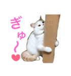 うちのコロンくん2（日常編）（個別スタンプ：22）