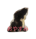 黒いトイプードル ラクくん（個別スタンプ：4）