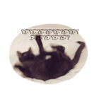 ねこちゃんズ.（個別スタンプ：10）