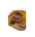 ハリネズミ みかん（個別スタンプ：4）