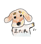 困り眉のダックス チョコたん（個別スタンプ：8）