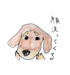困り眉のダックス チョコたん（個別スタンプ：9）