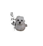 Wawa is me（個別スタンプ：9）