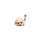 Wawa is me（個別スタンプ：16）