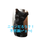 ネロ＆モク 2（個別スタンプ：3）