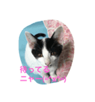 ネロ＆モク 2（個別スタンプ：4）
